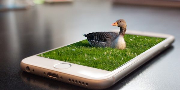 nowinki telefoniczne