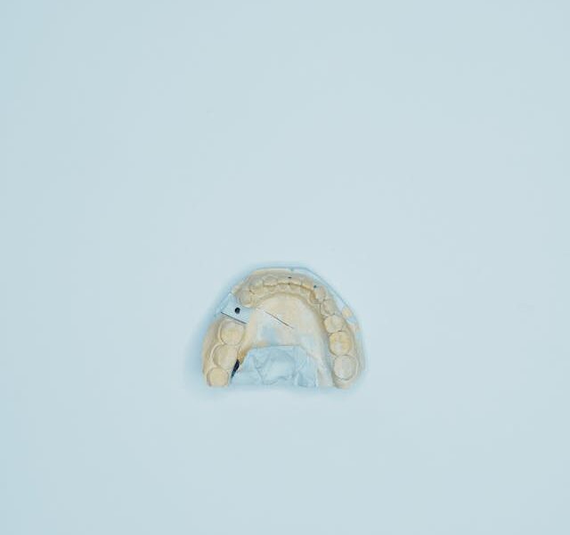 Od czego zależy cena protezy na implantach?